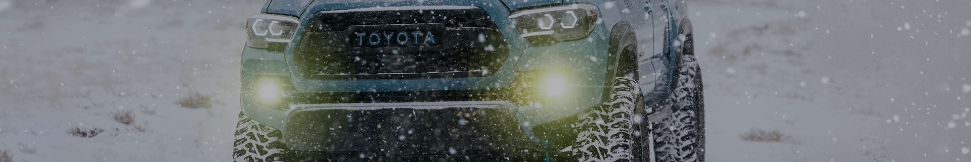 Black Friday Sale Banner Desktop