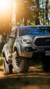 2019 Toyota Tacoma - 18x9 0mm - Fuel Vector - Leveling Kit - 275/65R18